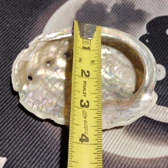 Small Abalone Seashell w/Smudge - Picture 5 of 5